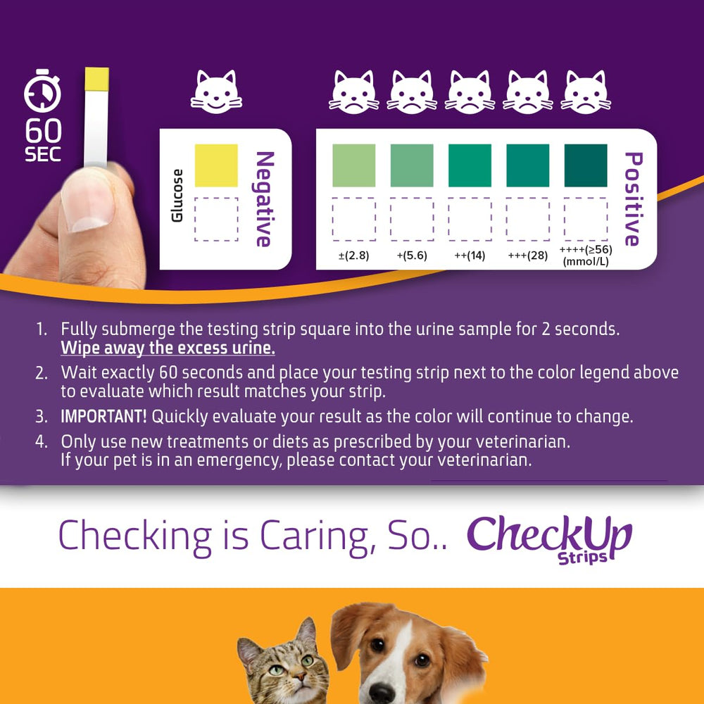KIT4CAT CheckUp 60-second wait for clear results