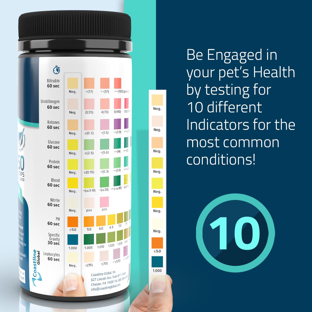 KIT4CAT color-chart reading highlights key health indicators in seconds.
