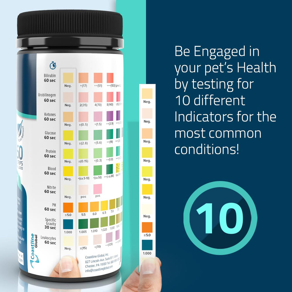 KIT4CAT color-chart reading highlights key health indicators in seconds.
