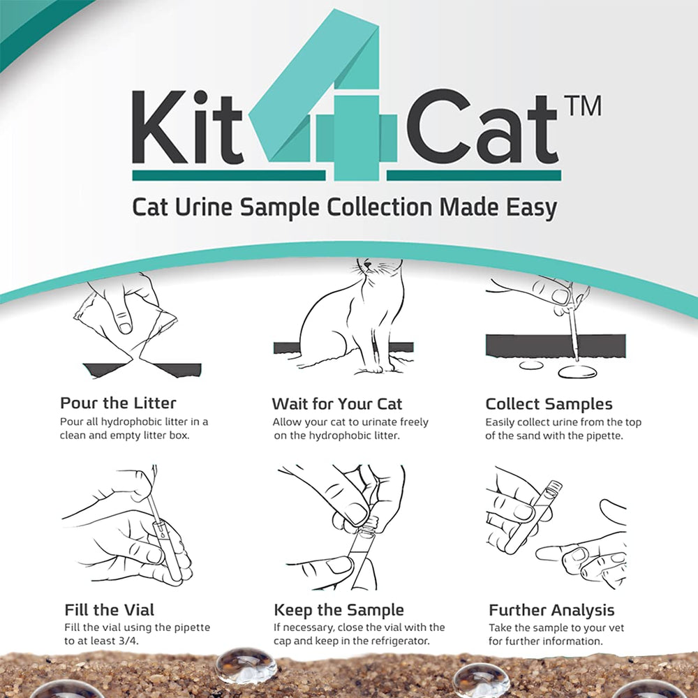 KIT4CAT urine resting on sand demonstrates simple sample access at home.
