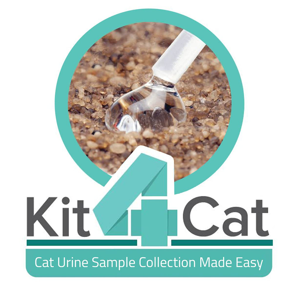 KIT4CAT usage instructions clearly explain at-home sampling steps.