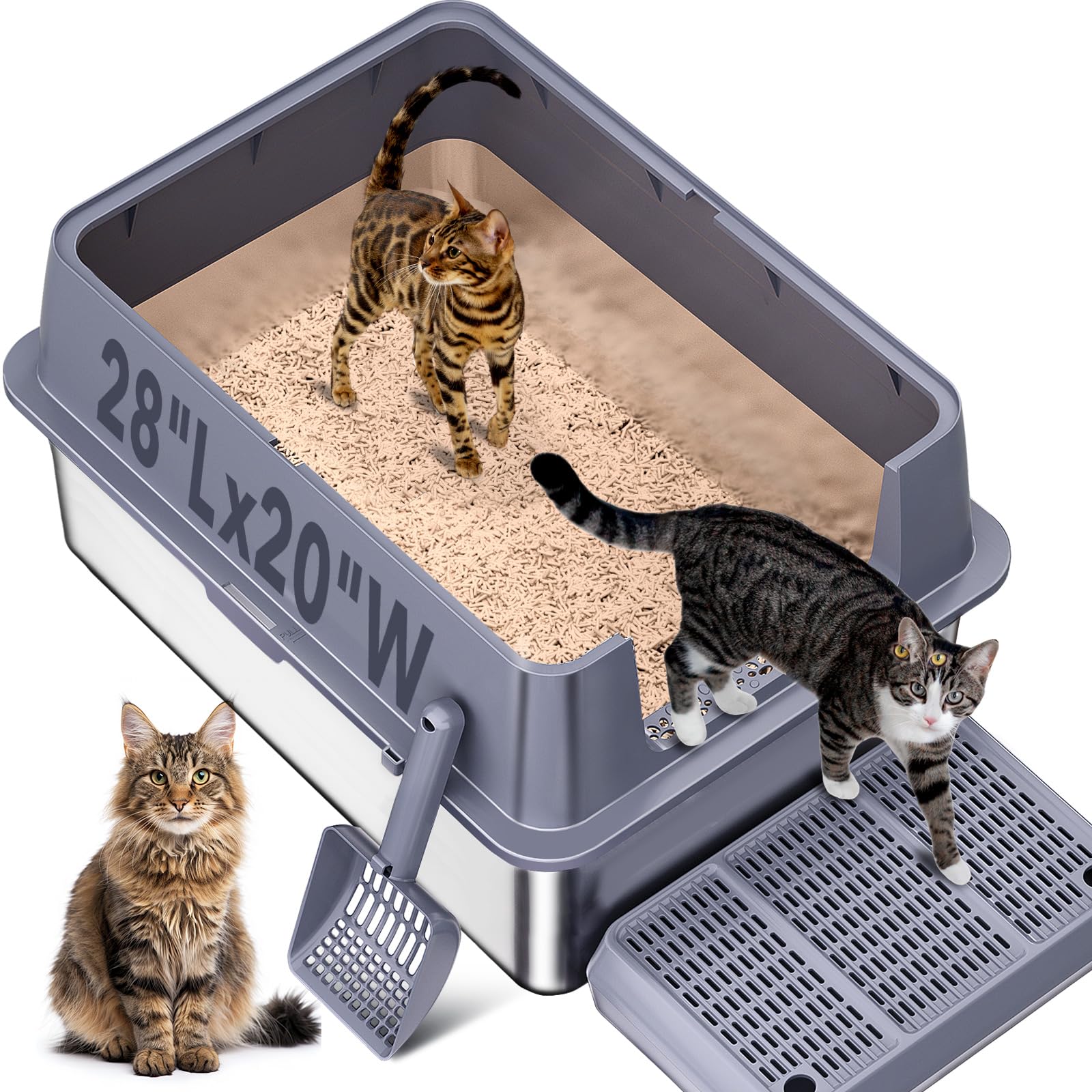 KITCATY XXL stainless steel litter box front view showing ample interior space for large cats