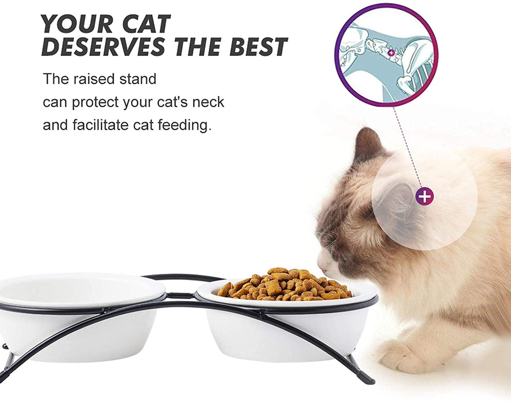KitchenLeStar bowl-non-slip-feet-ceramic keeps feeding area stable.