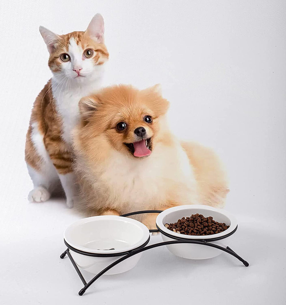 KitchenLeStar cat-bowl-easy-clean-removable simplifies washing.