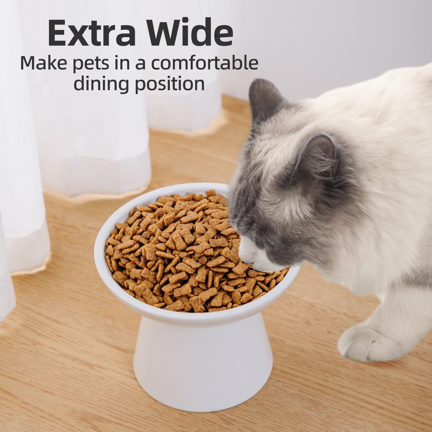 KITCHENLESTAR ceramic dish ideal for older cats needing easier access.