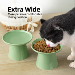 Kitchenlestar bowl with sturdy ceramic resists tipping and keeps feeding clean.
