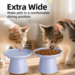 KITCHENLESTAR raised setup helps older cats eat without strain.