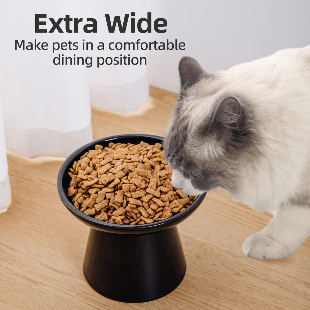 Elder-cat friendly dining height from KITCHENLESTAR elevated bowls.