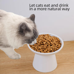 KITCHENLESTAR ideal eating height for older cats to reduce strain.