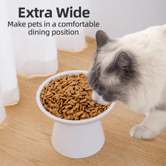 KITCHENLESTAR raised design aiding older cats to eat with less strain.