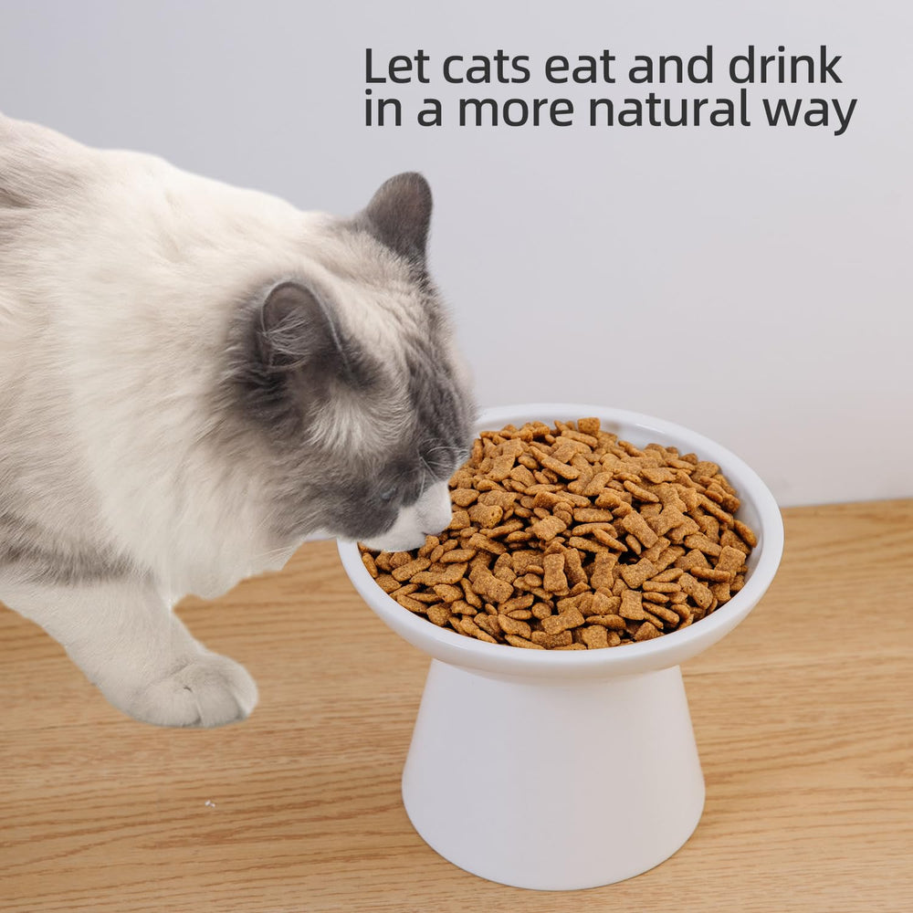 KITCHENLESTAR wide shallow mouth prevents spills and reduces whisker stress.