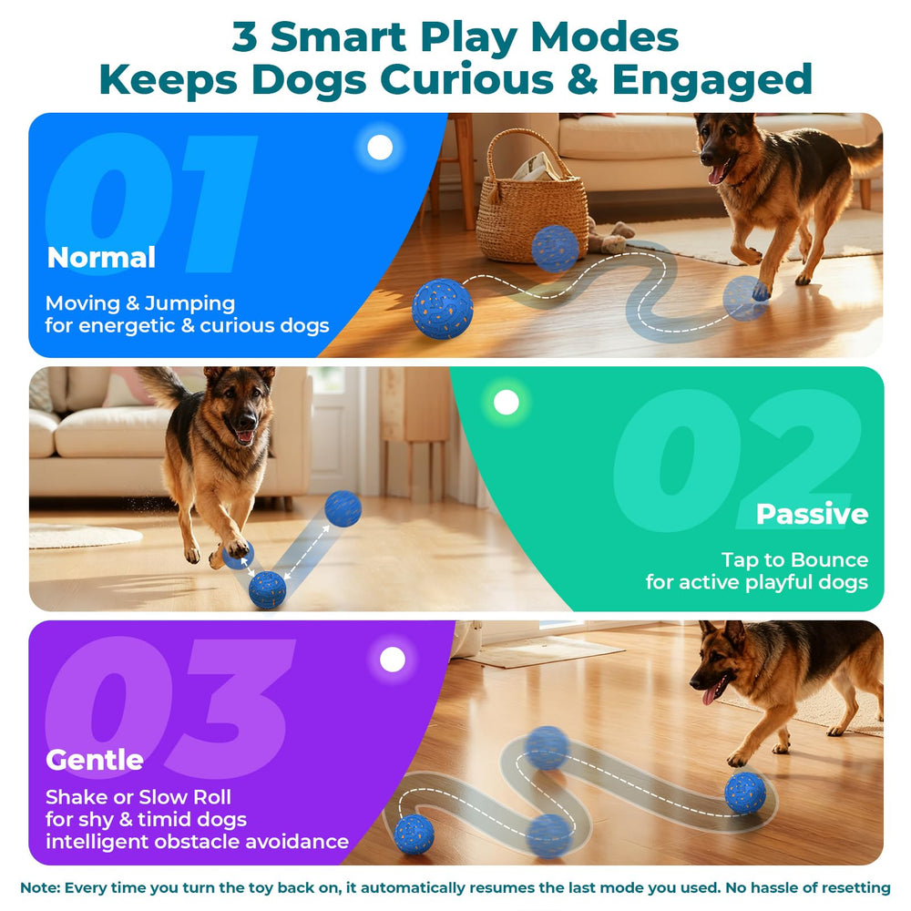 KITPLUS blue interactive dog ball as a visible focal point during fetch