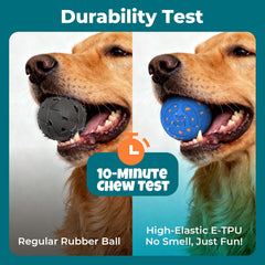 KITPLUS ball with chew-proof E-TPU shell during tough chew sessions