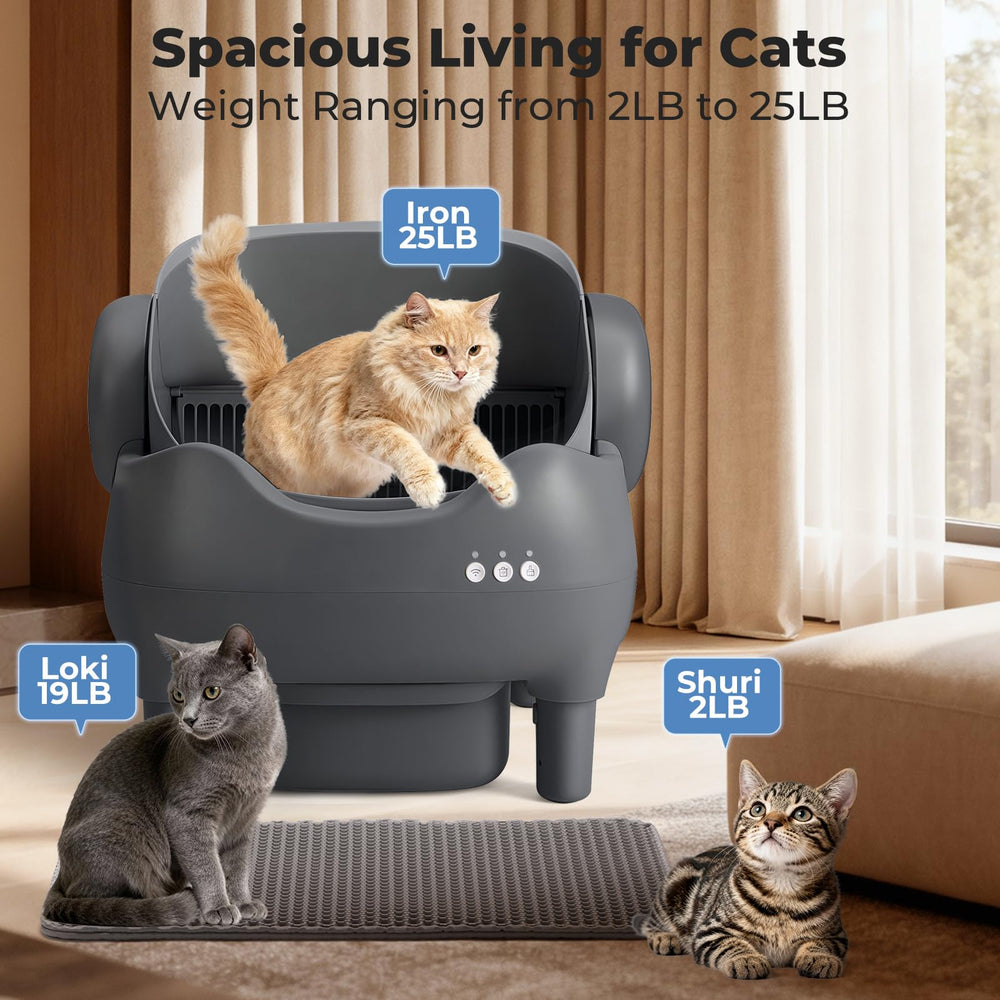 KITPLUS multi-cat friendly design supports kittens to large cats in one box