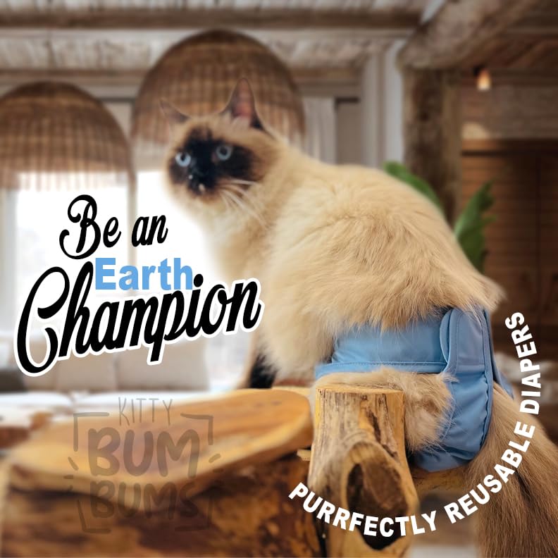 Kitty BumBums small diaper on cat demonstrates easy fit for neuter recovery use.