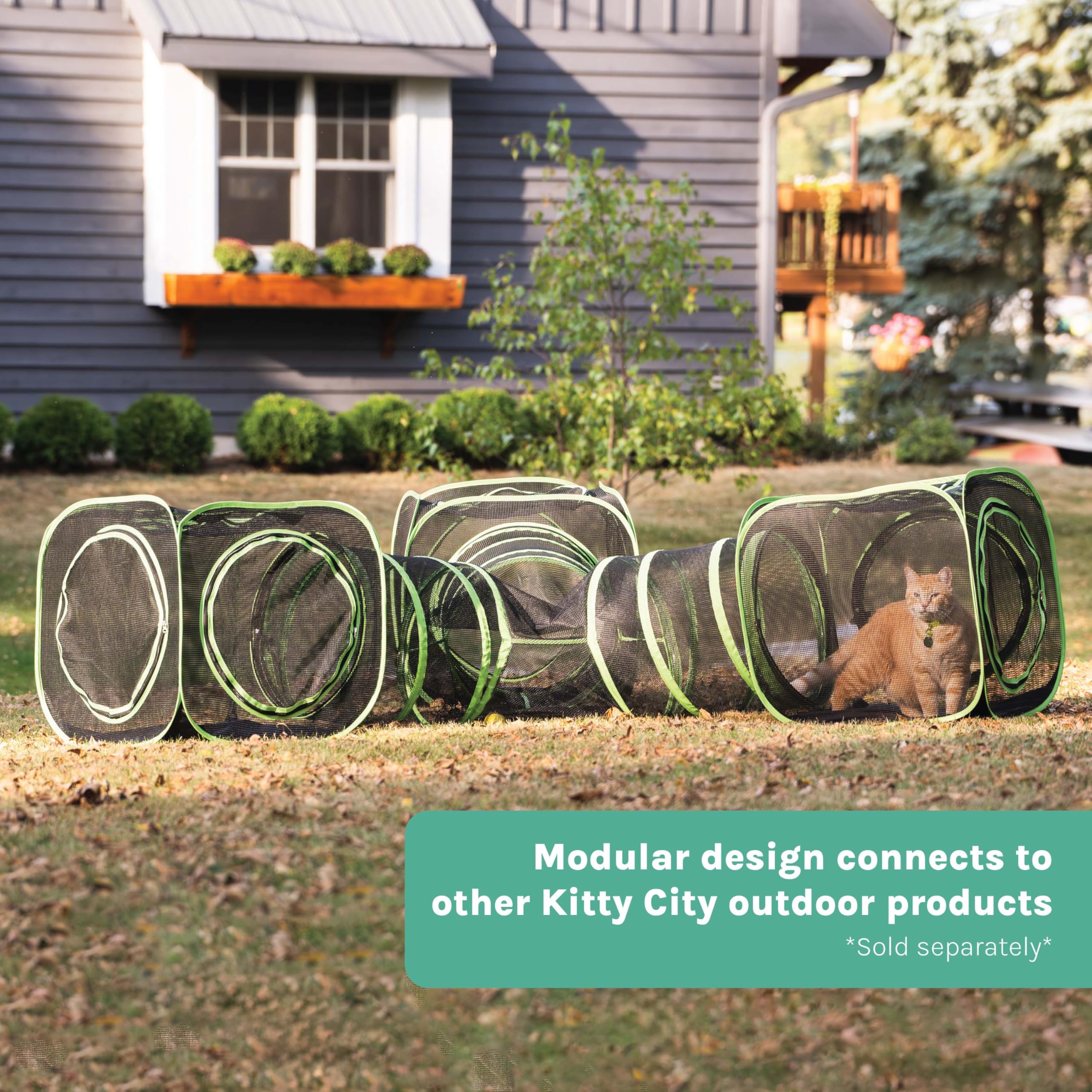 Kitty City breathable mesh enclosure allows airflow and clear visibility for cats.