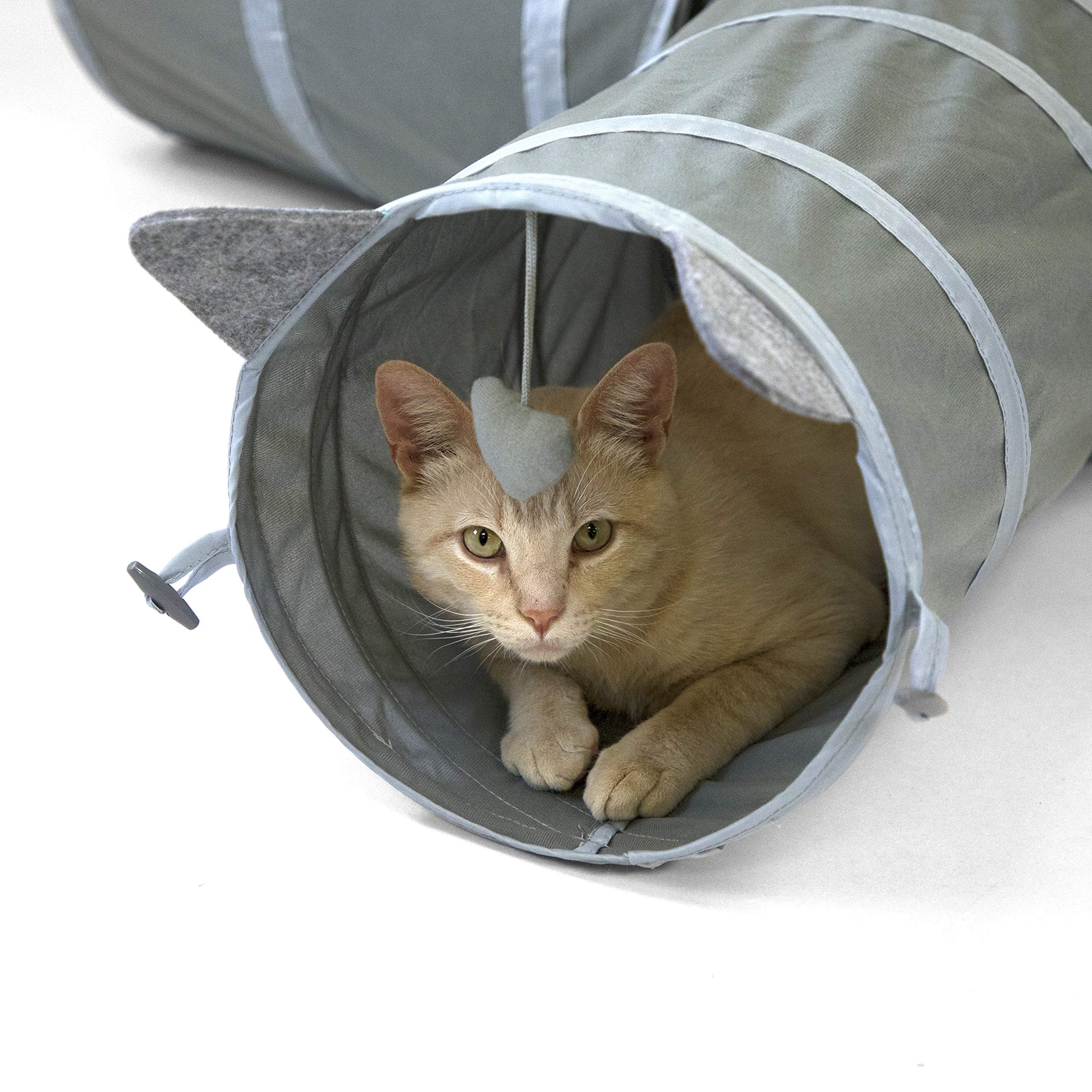 Kitty City cat tunnel largest size showcases the biggest option on the market.