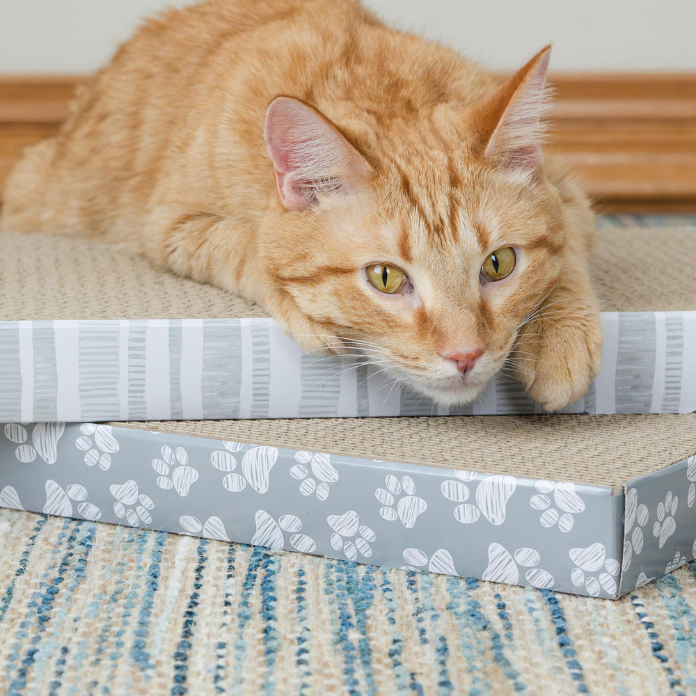 Catnip-infused scratch pads attract cats to scratch on the approved surface.
