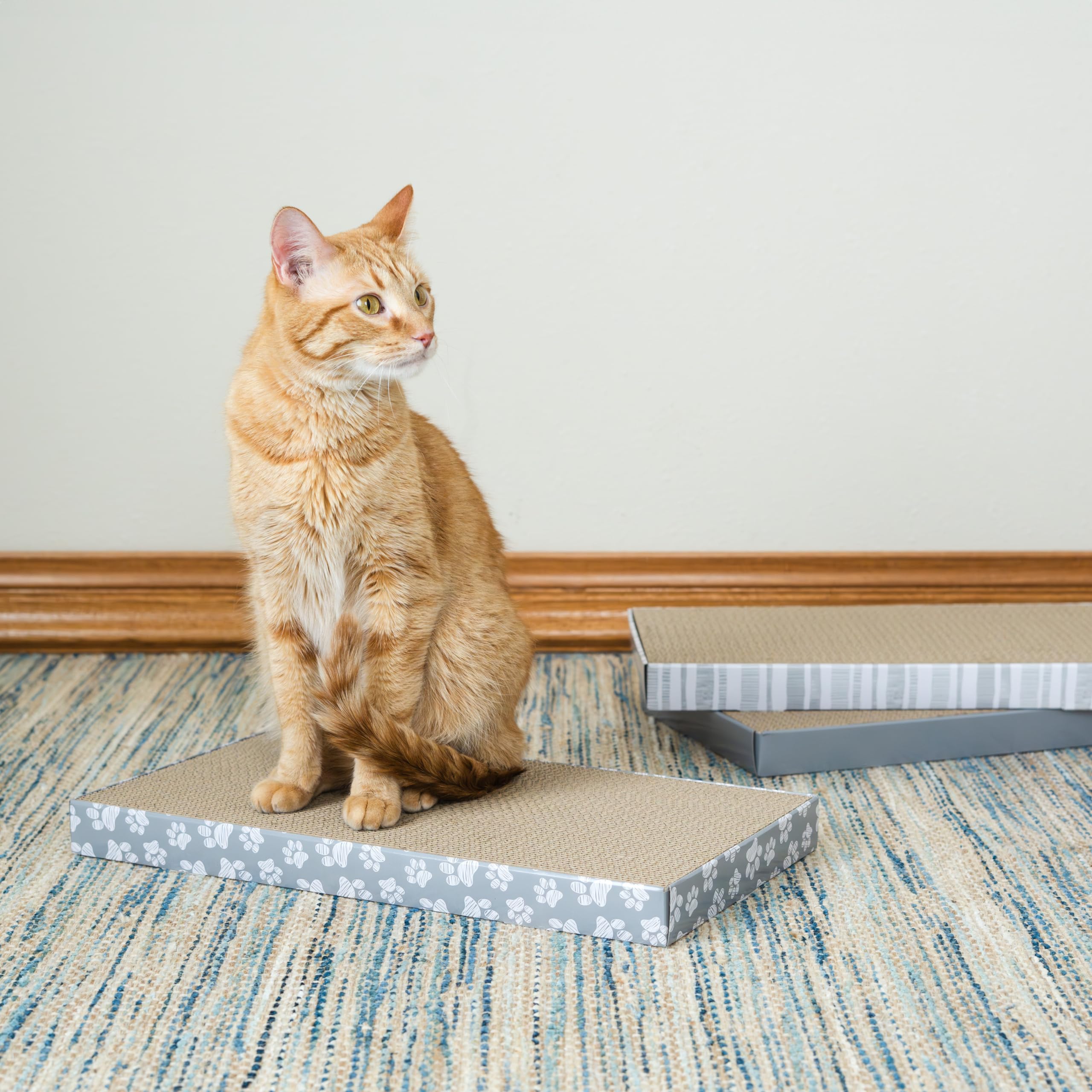 Standalone Kitty City scratcher pad ready to place on the floor for independent use.