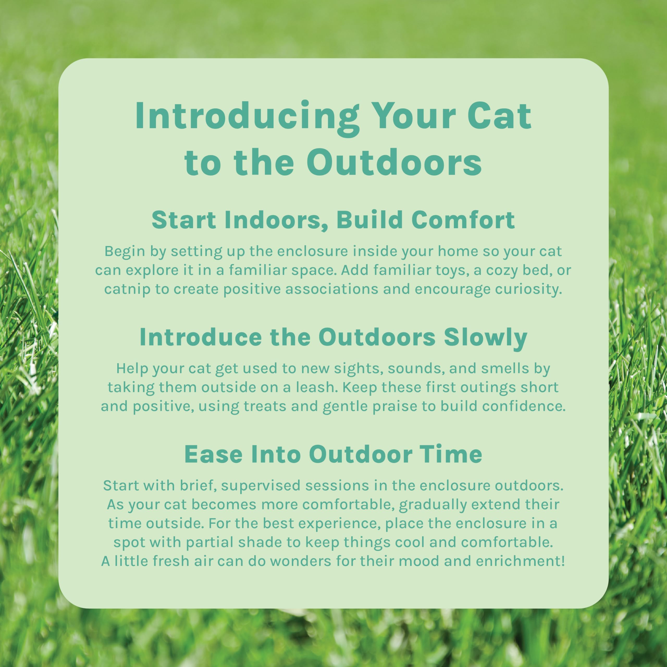 Kitty City interior provides a spacious area for lounging and exploration.