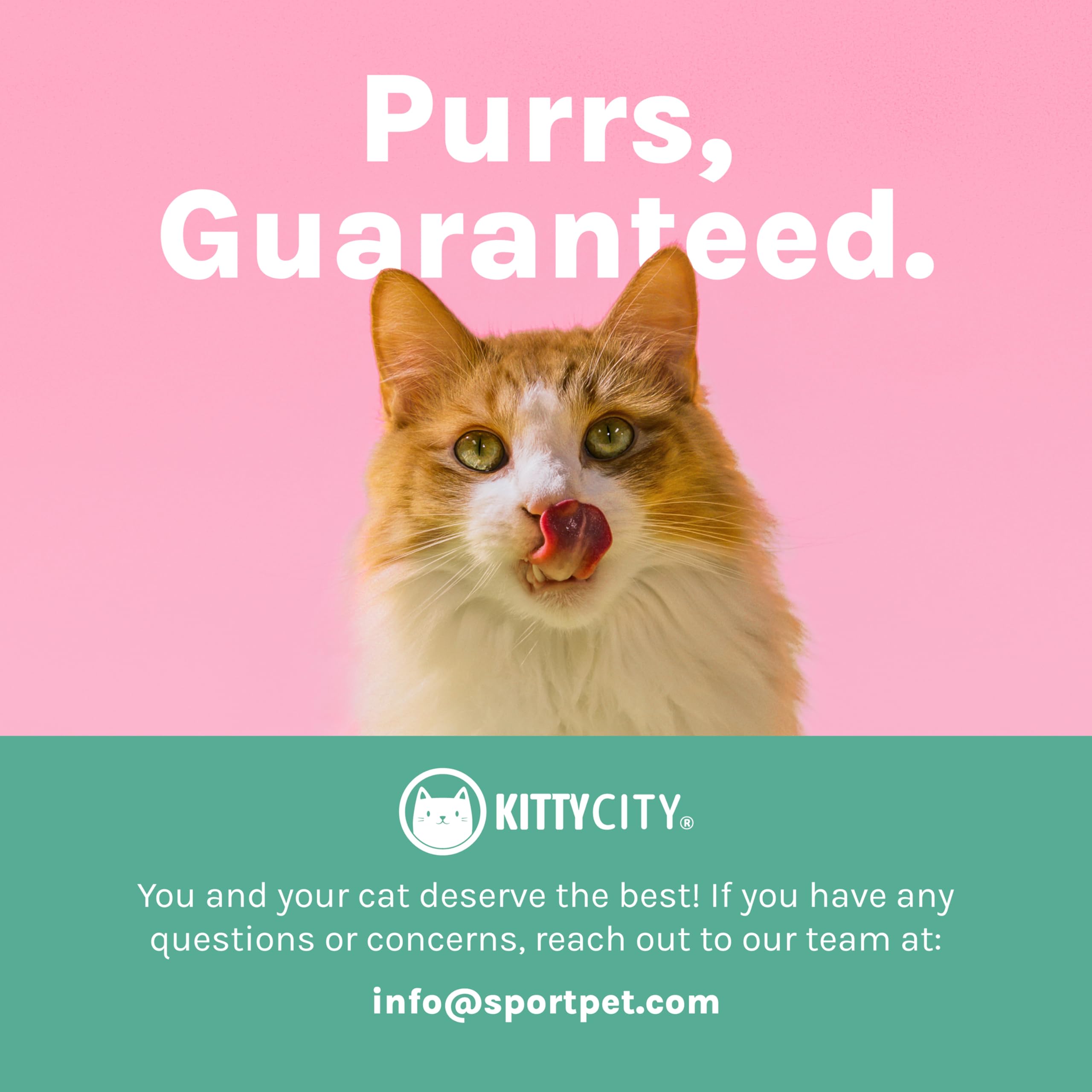 Kitty City compact setup fits patios or living rooms.