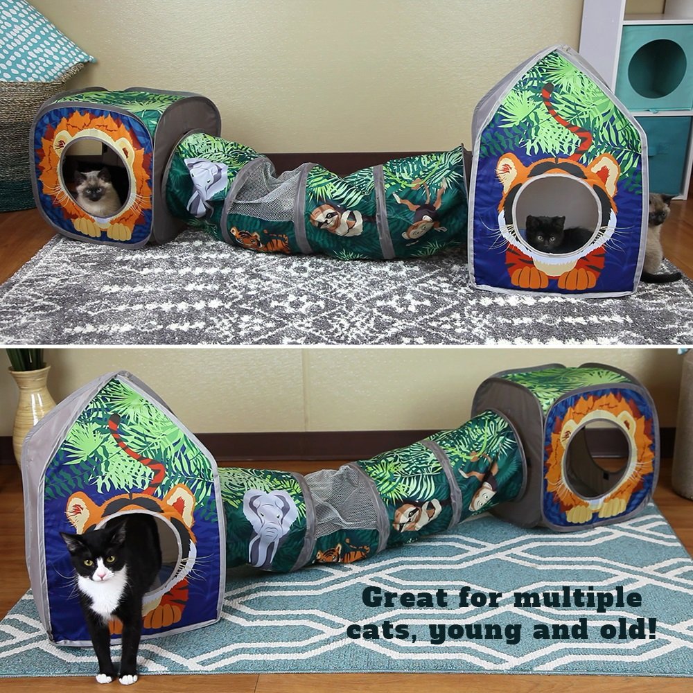 Kitty City Safari Interconnected Play Area highlights the open layout guiding exploration and multi-cat use.