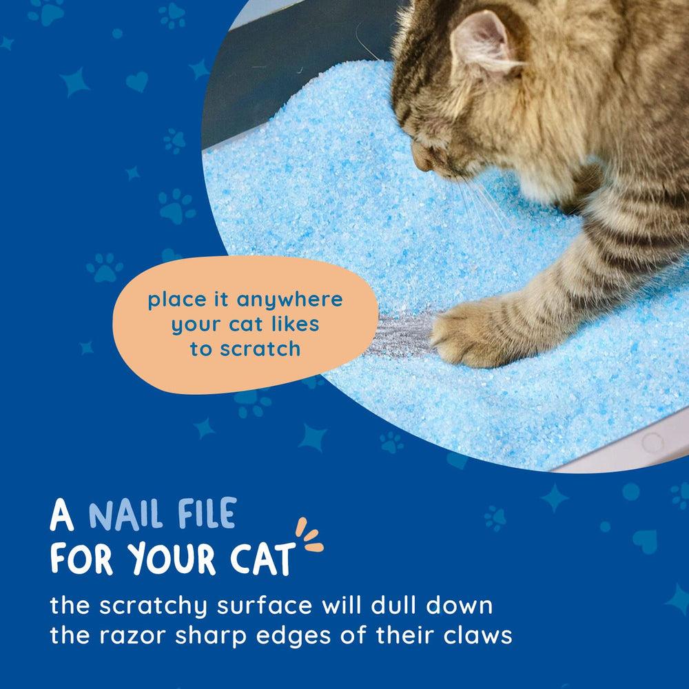 KITTY CURE aluminum oxide coating keeps the file odor-resistant and durable.