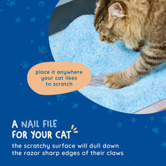 KITTY CURE aluminum oxide coating keeps the file odor-resistant and durable.