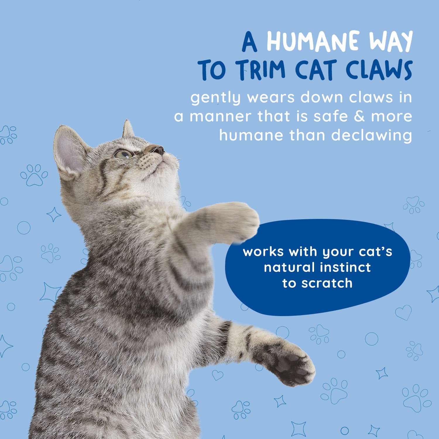 KITTY CURE long-lasting board offers up to two months of use.