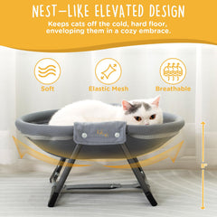KITTY KINGDOM breathable mesh and elevated base for year-round airflow and dryness.