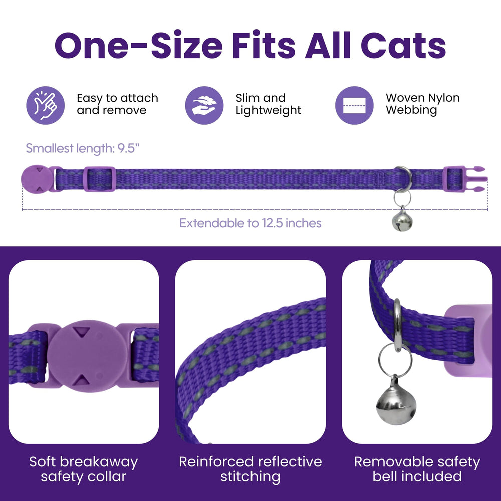 Kitty Kompass collar silhouette on a relaxed cat for everyday comfort.