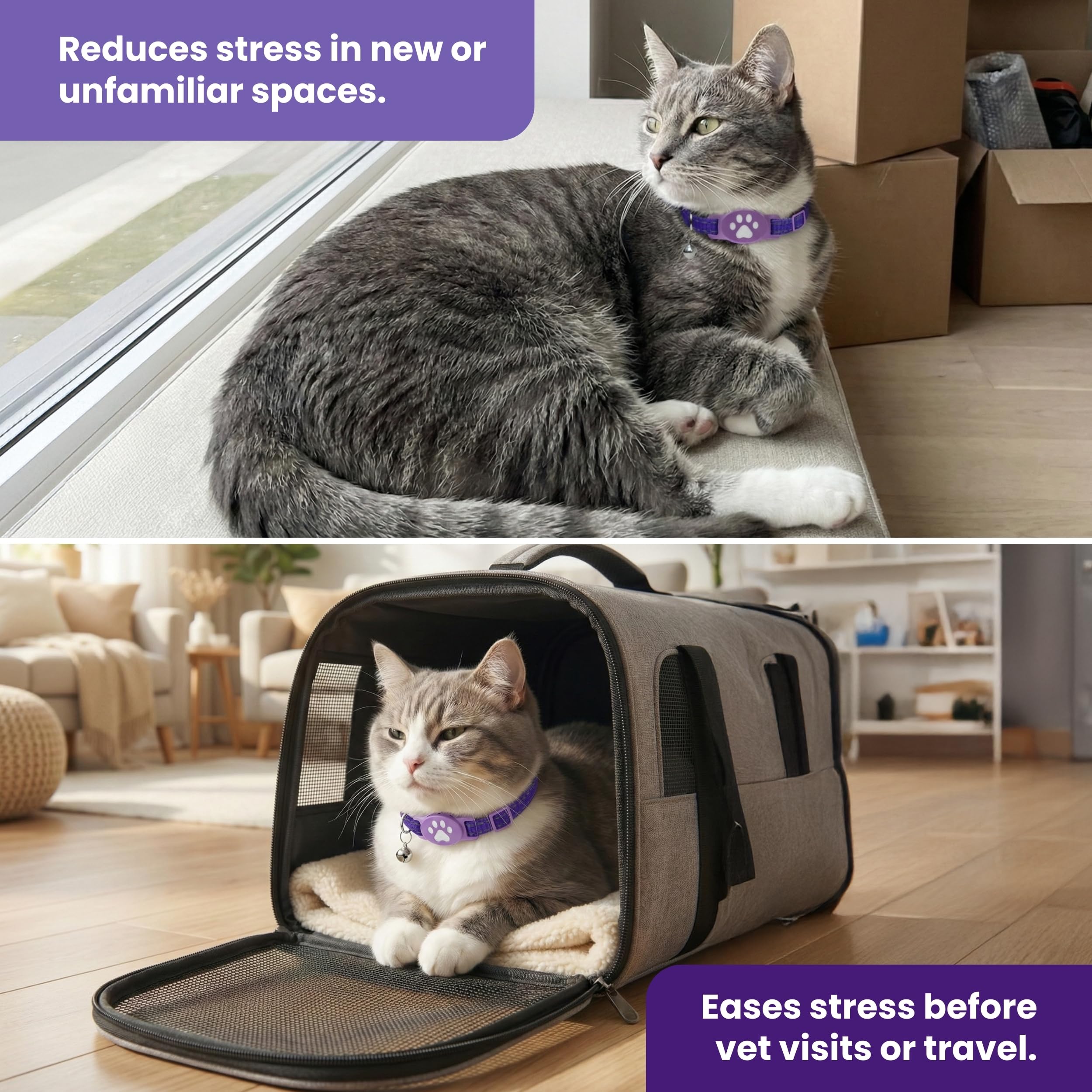 Kitty Kompass USA-designed testing ensures safety and quality.