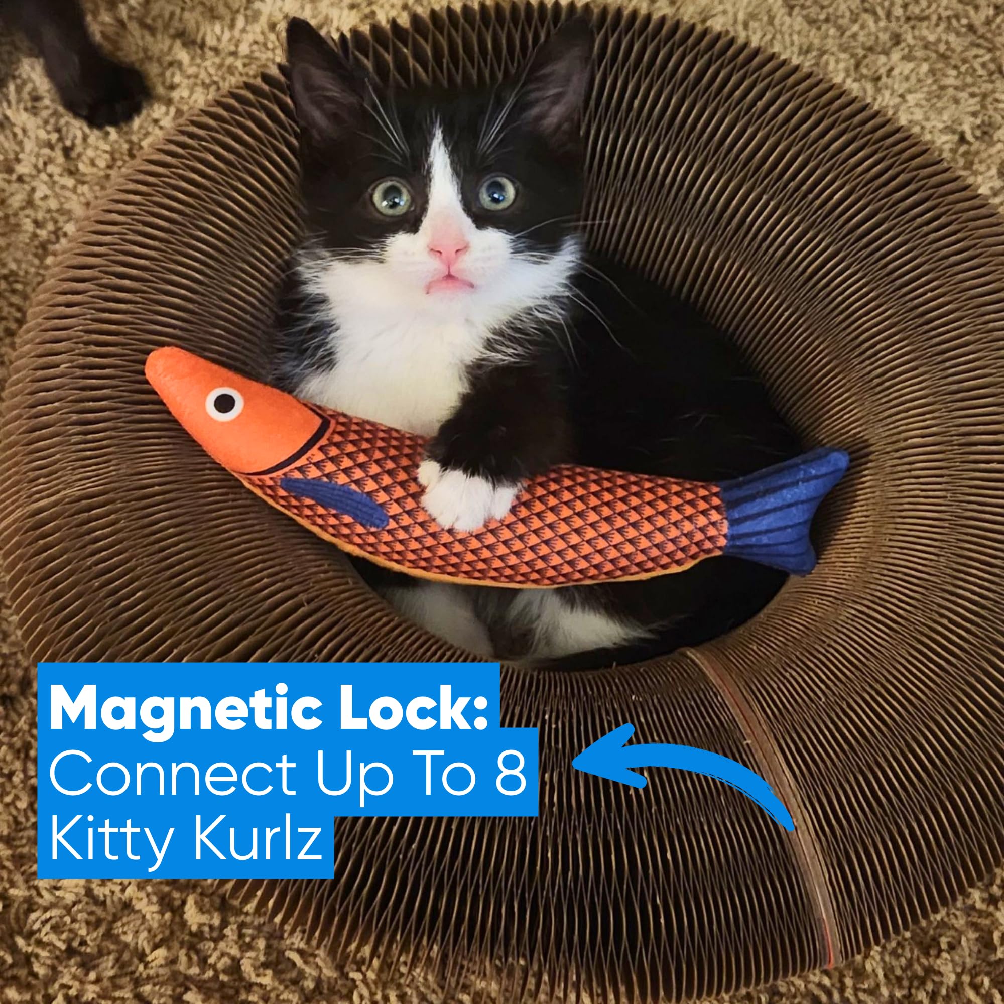 Kitty Kurlz collapsible track travels light for busy households