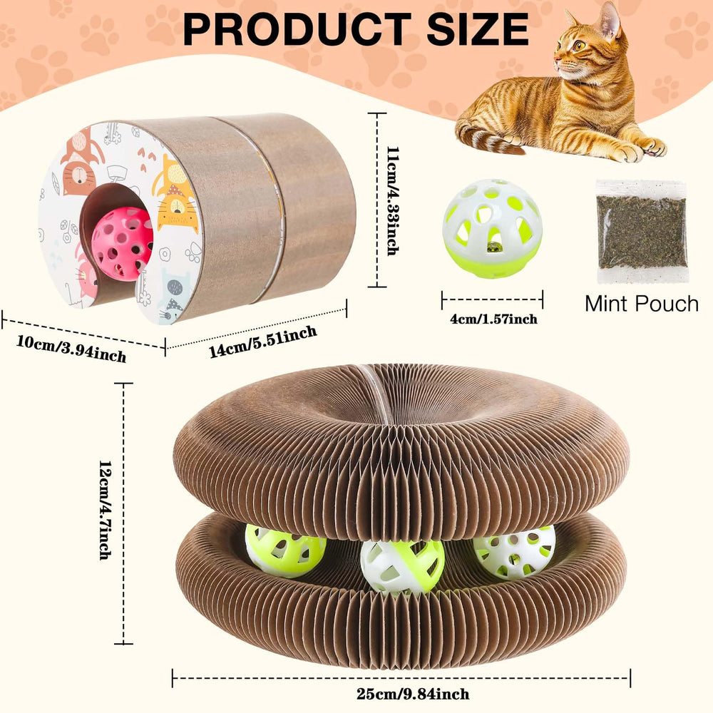Kitty Kurlz interactive track supports active play and exploration.
