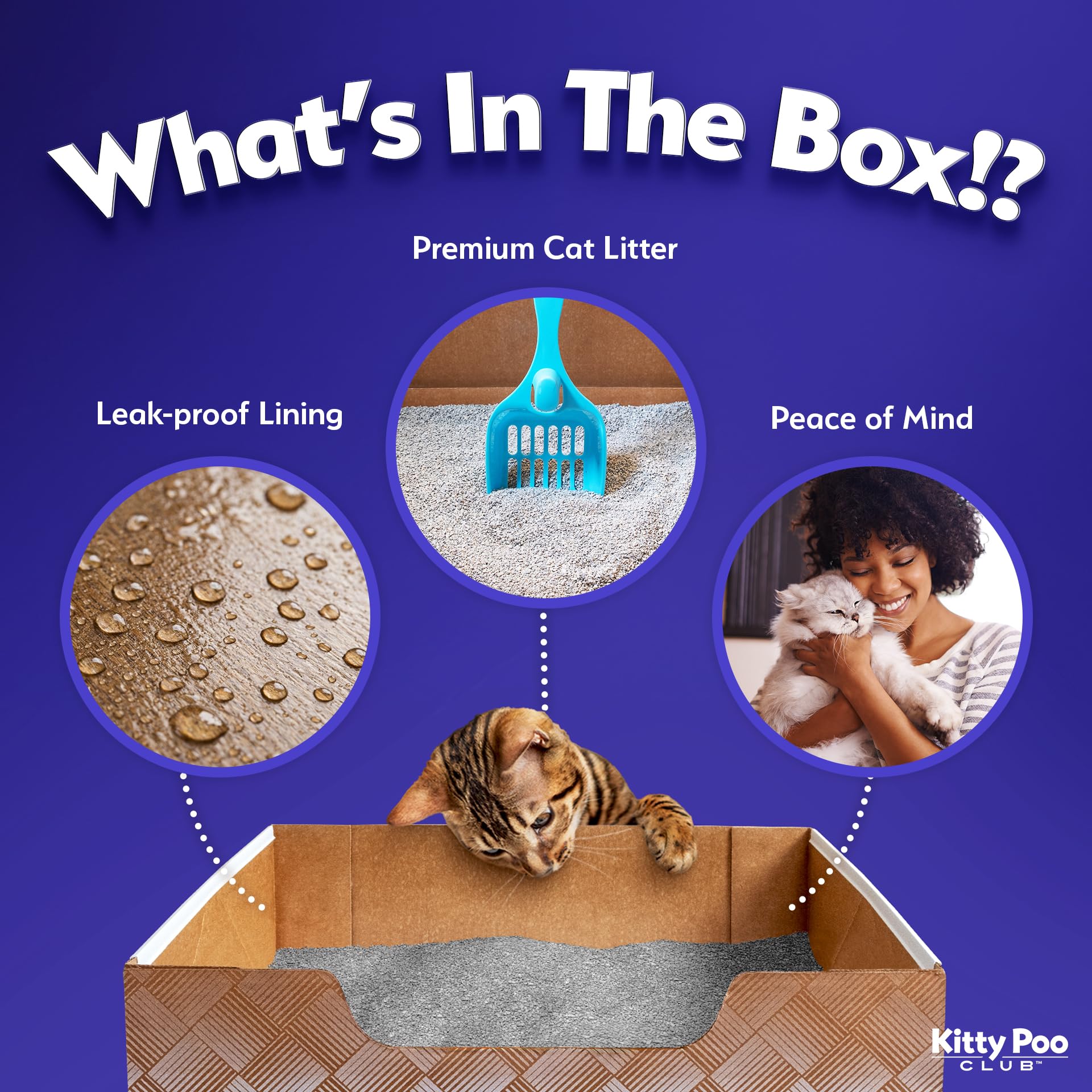 Kitty Poo Club 6 lb fine-grain silica litter for long-lasting freshness
