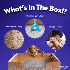 Kitty Poo Club 6 lb fine-grain silica litter for long-lasting freshness