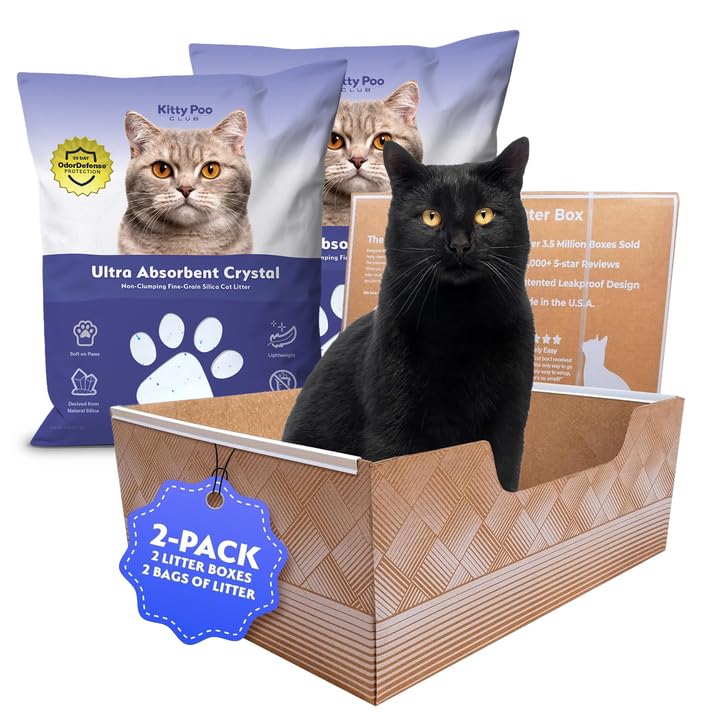 Kitty Poo Club leakproof litter box 2-pack keeps floors dry and odors contained