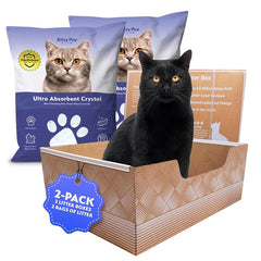 Kitty Poo Club leakproof litter box 2-pack keeps floors dry and odors contained
