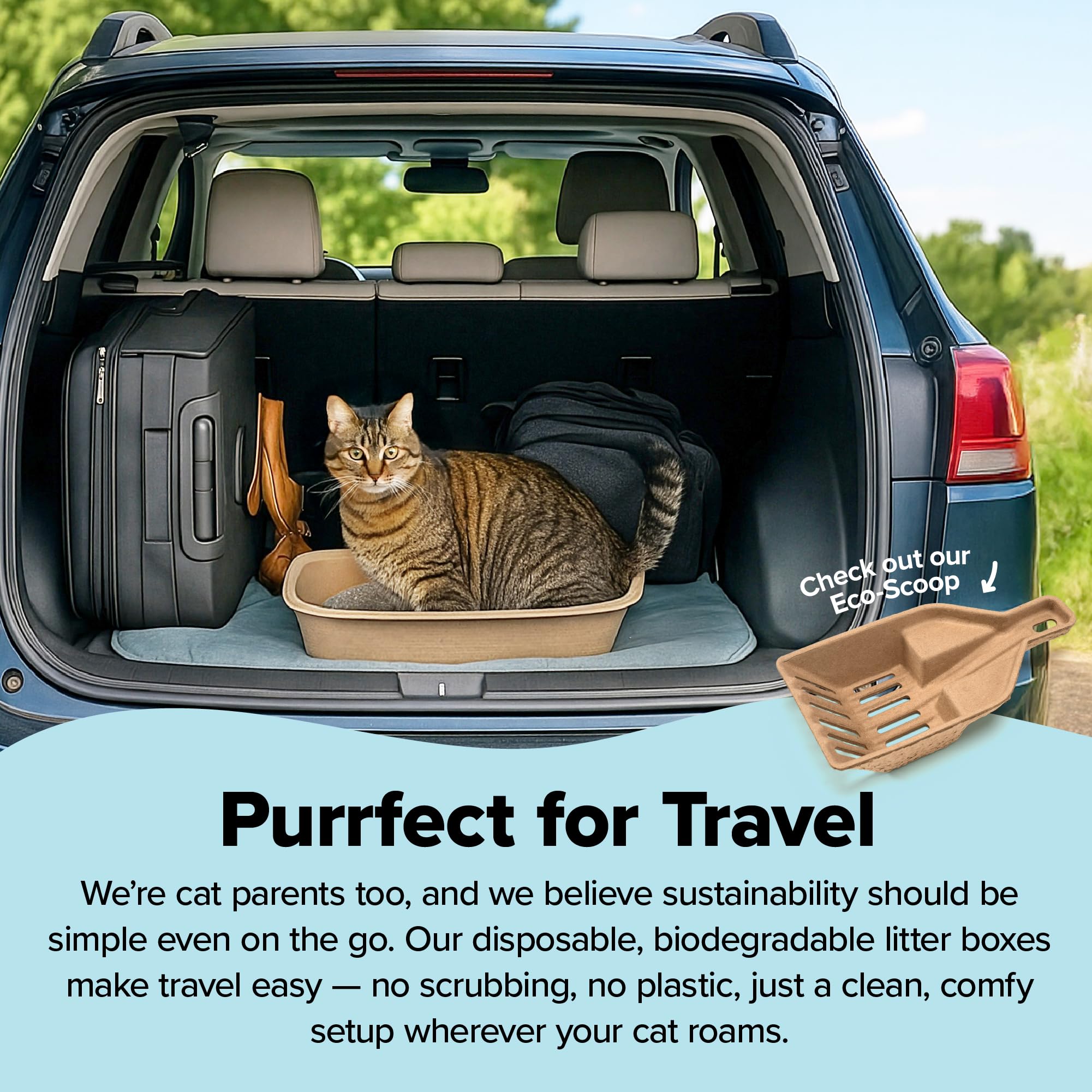 Kitty Sift durable leak-resistant walls stay sturdy during digging.