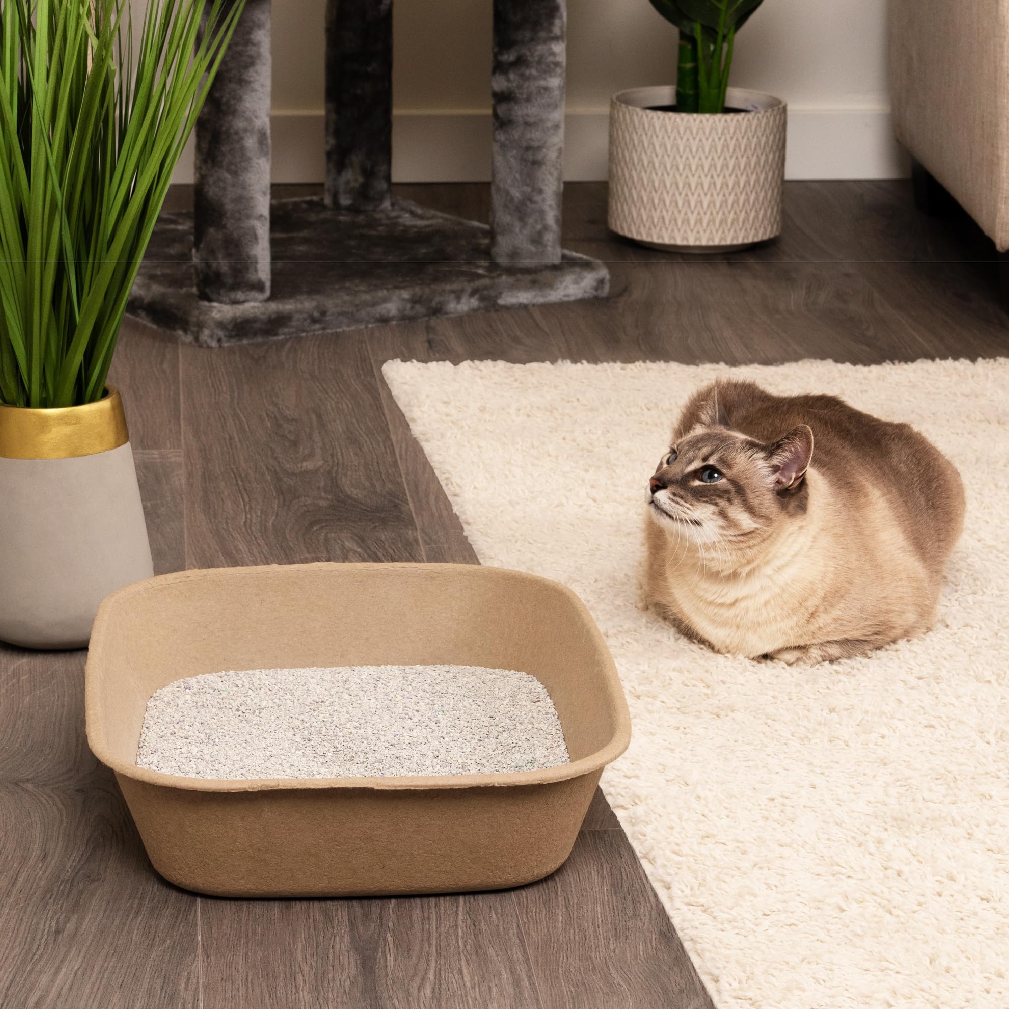 Kitty Sift large packaging emphasizes eco-friendly disposal and convenience.