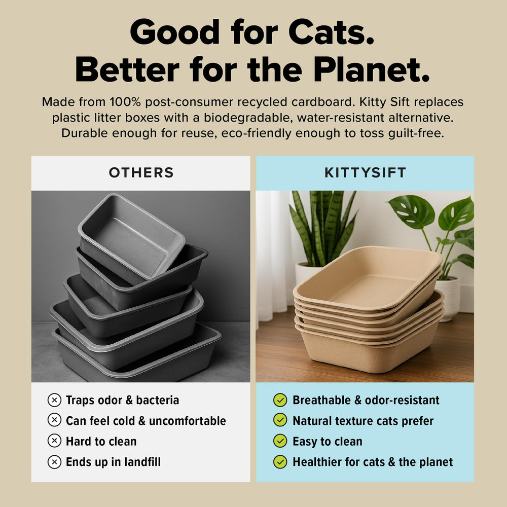 Kitty Sift travel-friendly, lightweight design for trips