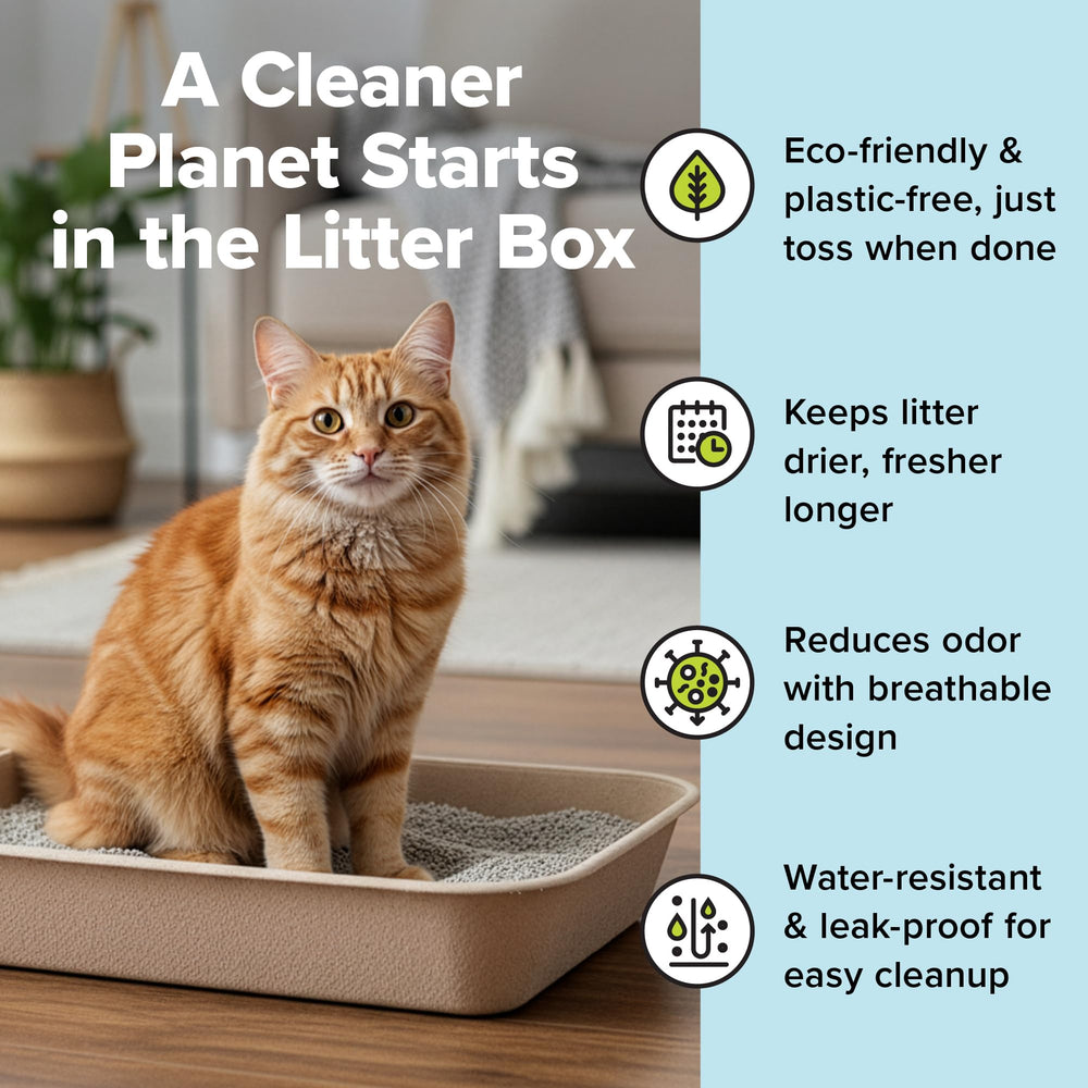 Kitty Sift travel litter box lightweight design ideal for car trips and hotel stays.