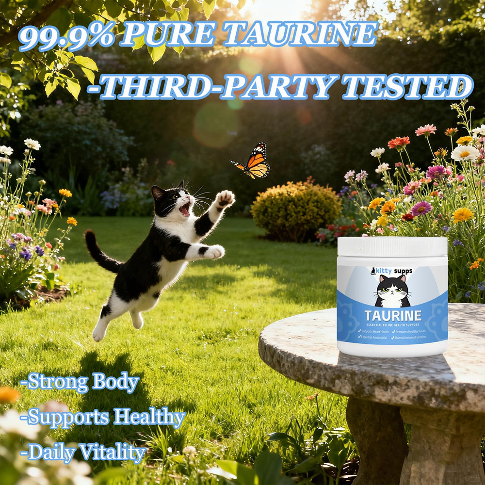 Kitty Supps Taurine dissolving in water in a pet bowl.