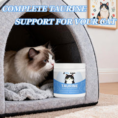 Kitty Supps Taurine mixed into dry food for seamless supplementation.