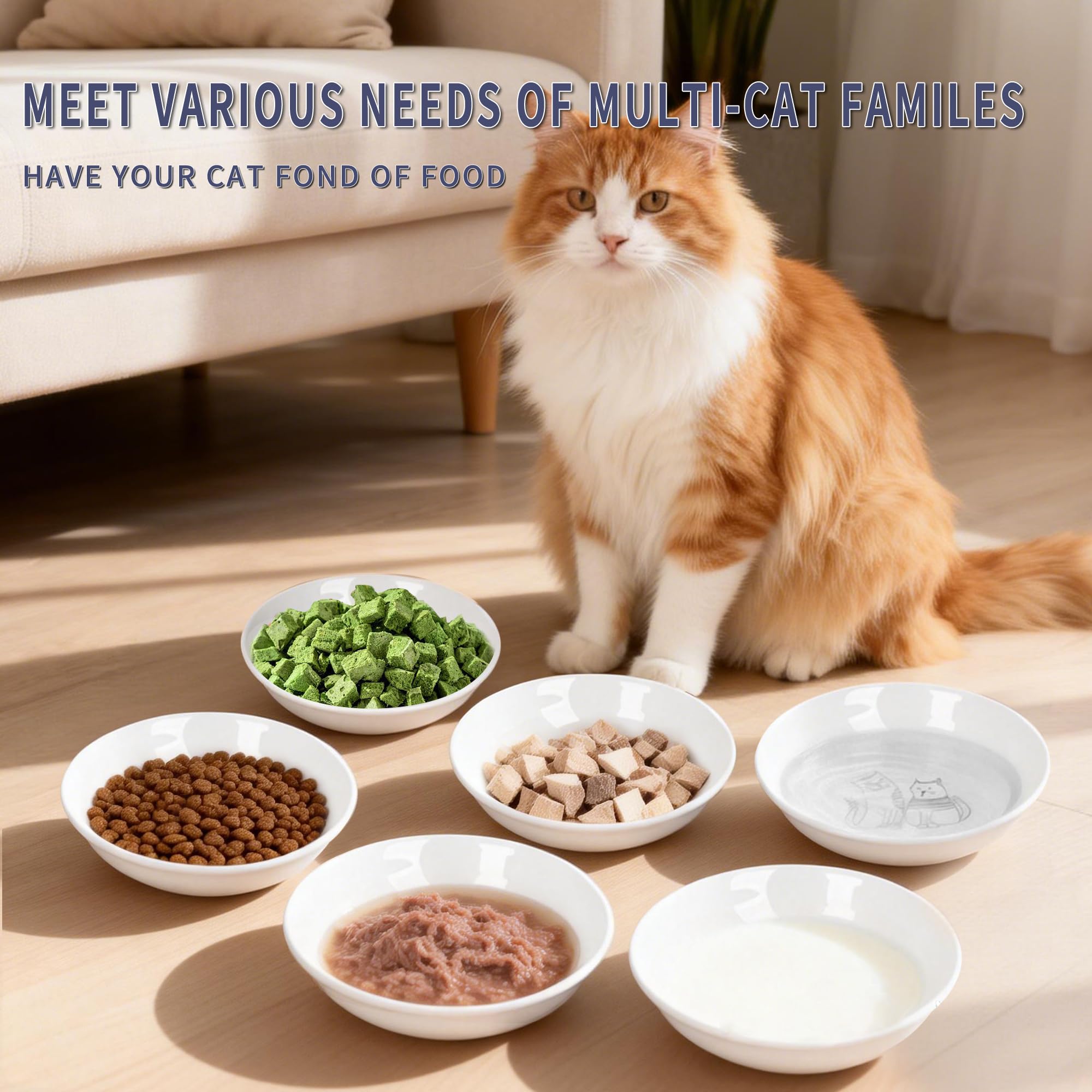 KittyDine cute drawing cat design adds charm to mealtime.