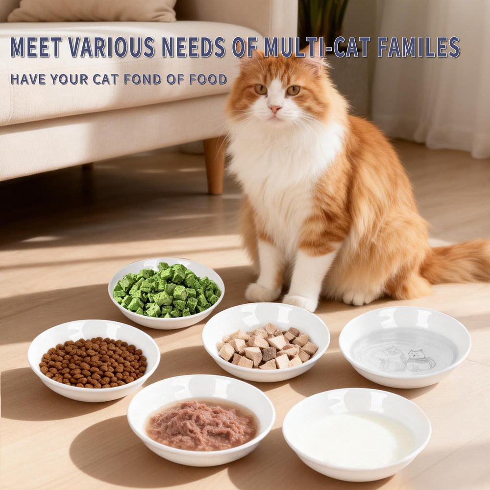 KittyDine cute drawing cat design adds charm to mealtime.