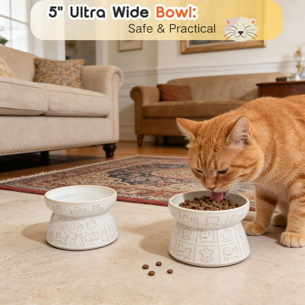 KittyDine dishwasher and microwave safe bowl for easy cleanup