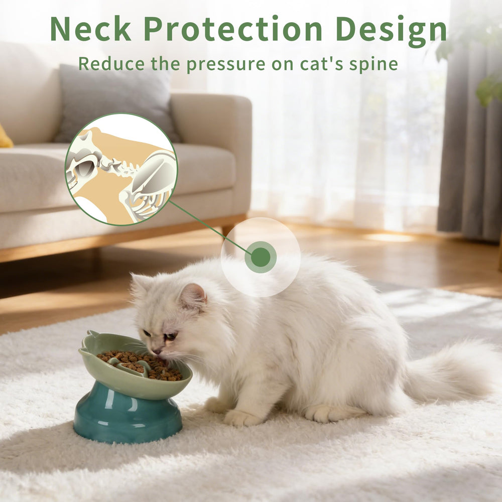 KittyDine elevated tilted design promotes ergonomic feeding position.