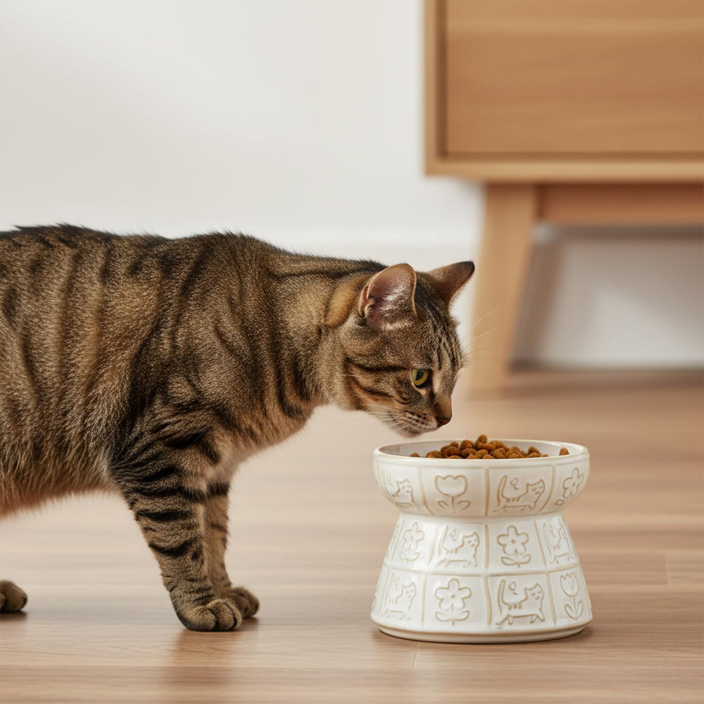 KittyDine elevated feeder bowl suits both cats and small dogs