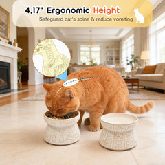 KittyDine whisker friendly water bowl reduces mess and spillage